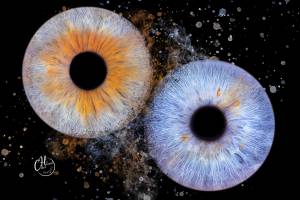 Celine HAMEL - SLIN PHOTO CELINE HAMEL